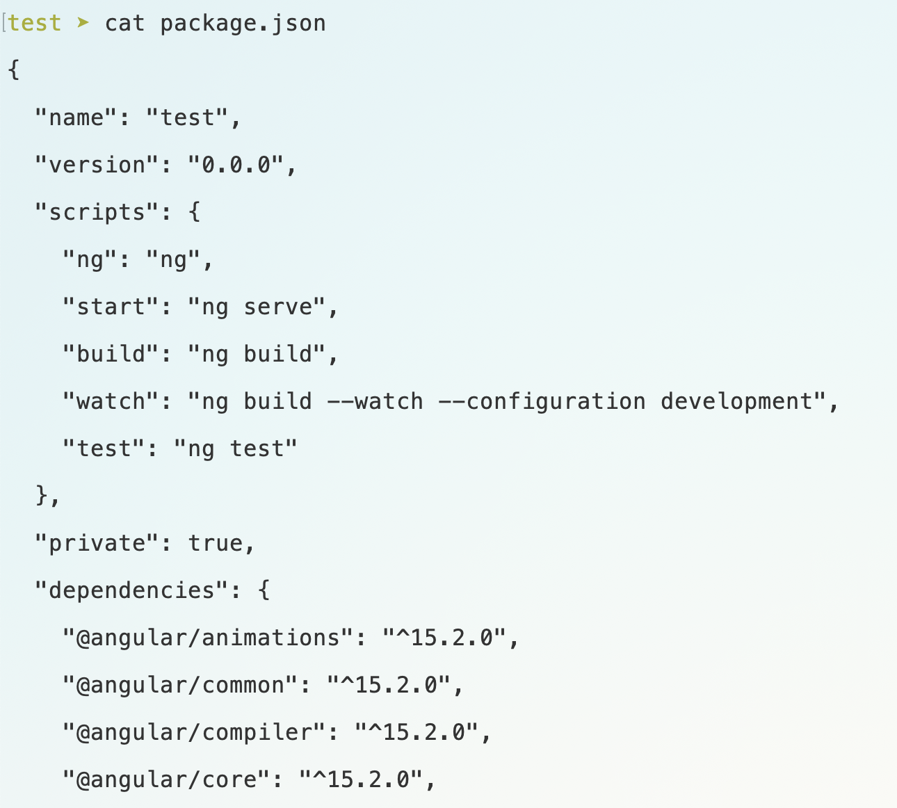 package-json.png